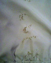 ���݂ʂ��O