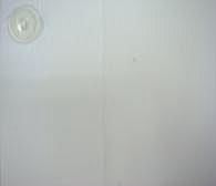 �����􂢌�